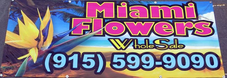 1238779 520671964681439 1841091653 n 768x266