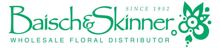 Baisch Skinner Logo 4 768x169