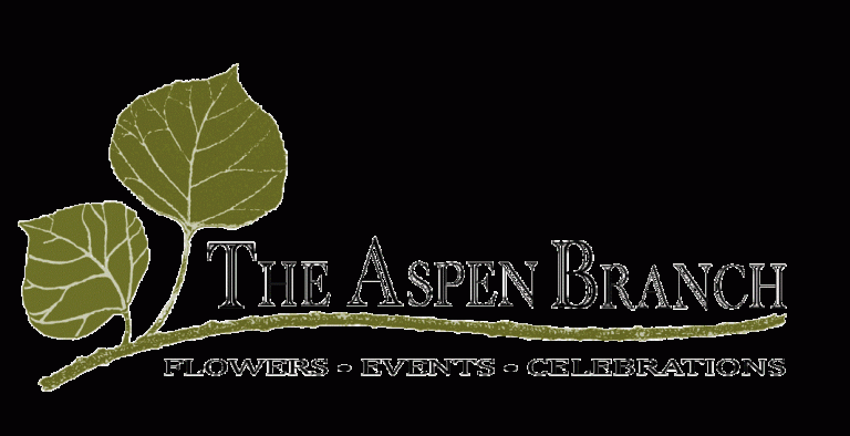 Aspen Branch 768x394